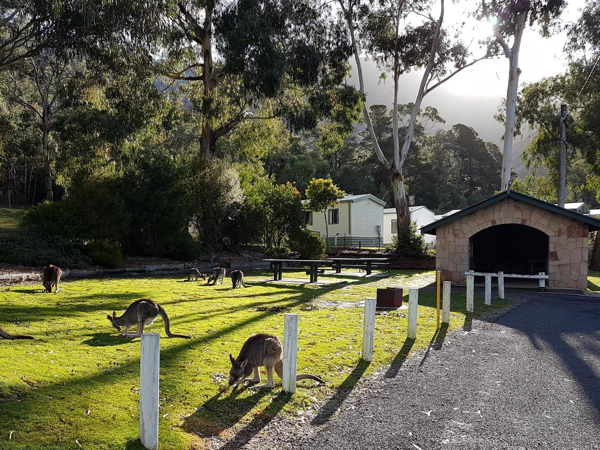 Breeze Holiday Parks - Halls Gap Exteriér fotografie